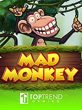 Mad Monkey H5